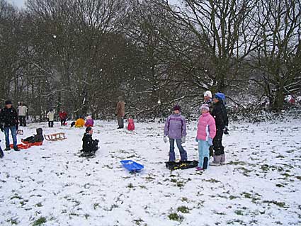 Sledging on Griffen Meadow